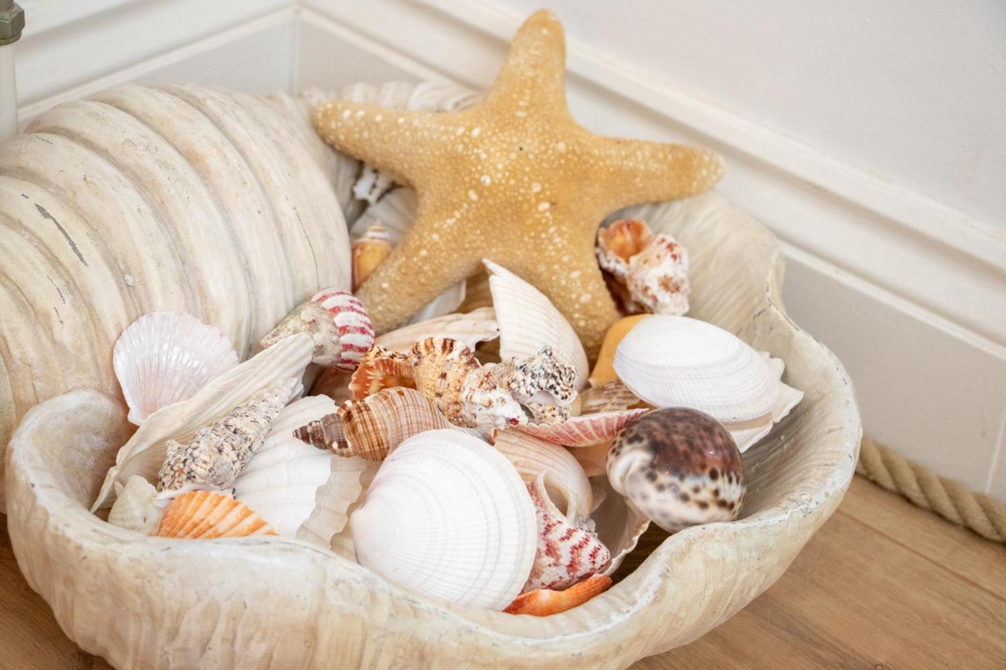 The Beach House Holiday Apartments Eastbourne Ngoại thất bức ảnh